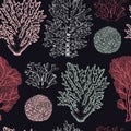 Seamless pattern with hand drawn reef corals sketch. Vector background with underwater natural elements. Vintage sea life illustra Royalty Free Stock Photo